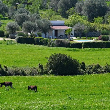 Terra Sessana Ville E Trullo Con Piscina Privata Ostuni Zewnętrze zdjęcie