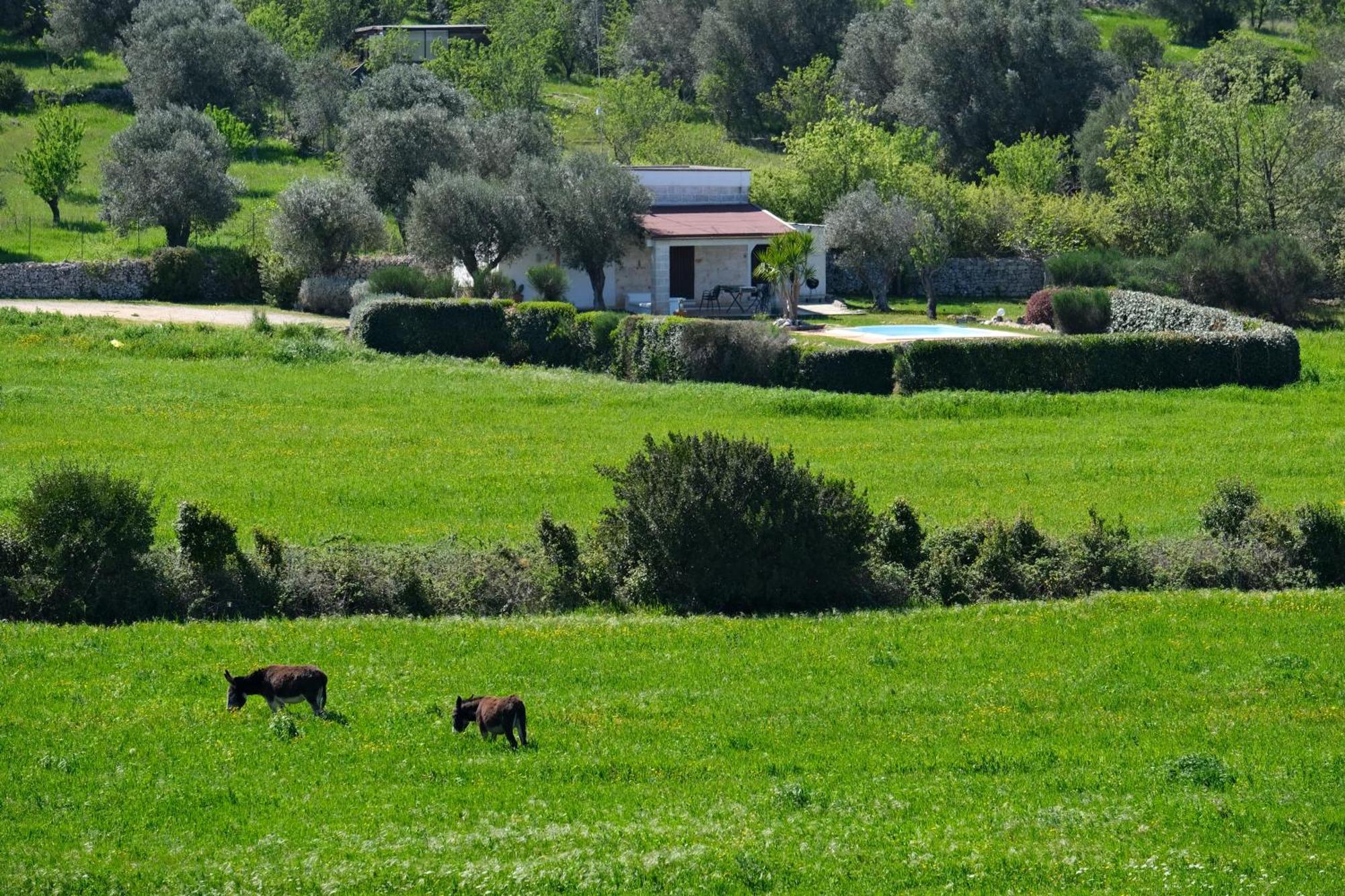 Terra Sessana Ville E Trullo Con Piscina Privata Ostuni Zewnętrze zdjęcie